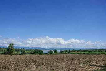 清晰的蓝色的天空白色云树自然草树诗娜卡琳储层北泰国