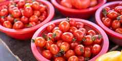 美味的新鲜的西红柿水果蔬菜食物红色的塑料篮子传统市场下午首尔南韩国收获概念关闭