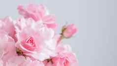 粉红色的玫瑰灰色的背景完美的背景问候卡片邀请婚礼生日情人节一天母亲的一天