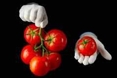 细新鲜的红色的西红柿举行手白色手套黑色的背景