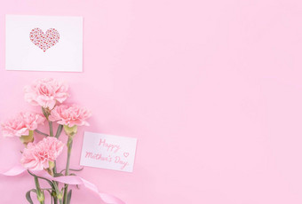 美丽的新鲜的优雅的康乃馨花花束白色问候礼物卡孤立的明亮的粉红色的颜色背景前视图平躺概念