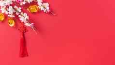 设计概念中国人月球一年美丽的中国人结李子开花孤立的红色的背景平躺前视图开销布局