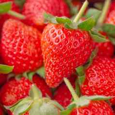 美丽的美味的草莓木盒子篮子概念有机农业新鲜的直接交付果园关闭