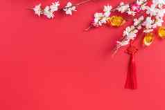 设计概念中国人月球一年美丽的中国人结李子开花孤立的红色的背景平躺前视图开销布局