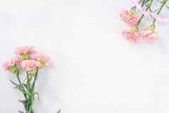 美丽的优雅的粉红色的康乃馨花明亮的白色大理石表格背景概念母亲的一天花礼物前视图平躺开销