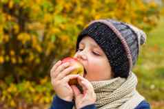 男孩提出了背景黄色的叶子吃多汁的红色的苹果秋天情绪收获秋天肖像孩子苹果视线