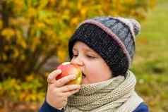 男孩提出了背景黄色的叶子吃多汁的红色的苹果秋天情绪收获秋天肖像孩子苹果视线