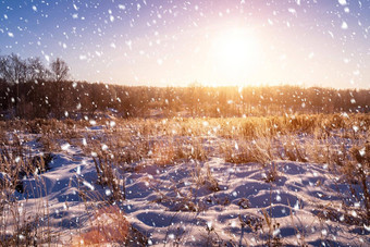 日出日落冬天场覆盖下降雪草覆盖<strong>霜降</strong>雪