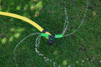 花园灌溉系统浇水草草坪上