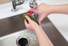 裁剪视图女手剥黄瓜食物浪费处分机水槽现代厨房