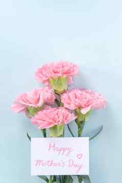 美丽的优雅的粉红色的康乃馨花明亮的光蓝色的表格背景概念母亲的一天花礼物前视图平躺开销