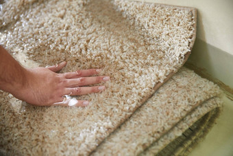 脏<strong>地毯</strong>浸泡特殊的化学解决方案<strong>地毯</strong>清洁服务