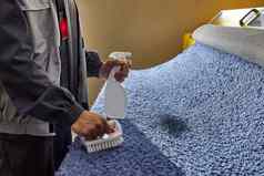 男人。喷涂洗涤剂灰色地毯删除染色专业清洁服务