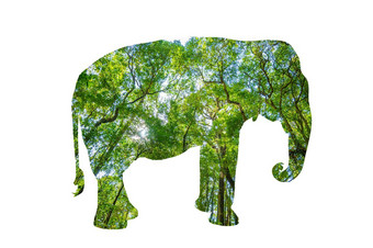 世界野生动物一天森林轮廓形状野生动物野生动物森林保护概念