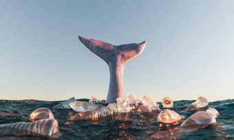 鲸鱼尾巴海洋包围塑料瓶