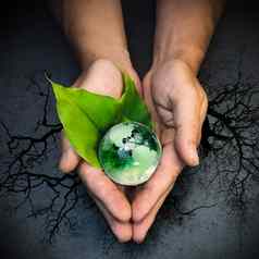 人类手持有绿色全球地球地球绿色叶子