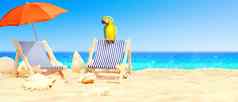 鹦鹉热带海滩太阳甲板椅子伞