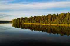 前视图博尔塔湖森林斯维特拉娜湖泊国家公园黎明美丽的的地方白俄罗斯岛湖白俄罗斯