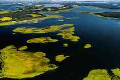 前视图斯努迪鸵鸟湖泊斯维特拉娜湖泊国家公园美丽的湖泊白俄罗斯白俄罗斯