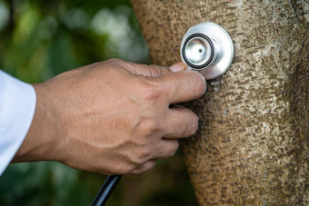 检查健康听树自然听诊器生物学<strong>生态环境</strong>全球气候变暖保存地球