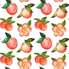 插图数字水彩无缝的模式桃子花白色背景