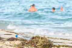 关闭图像空塑料水瓶脏海滩填满海藻垃圾浪费脏桑迪海滩人海背景