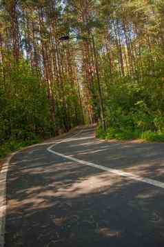 沥青路标记运行森林夏天一天
