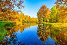 秋天公园景观湖秋天季节美丽的景观黄色的树照片印刷产品文章秋天