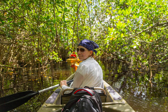 旅游皮划艇红树林森林埃弗格莱兹佛罗里达美国