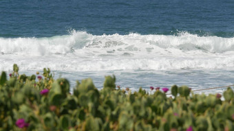 大蓝色的<strong>潮</strong>波海滩加州海岸线美<strong>国</strong>太平洋海洋海岸<strong>绿</strong>色植物海海岸