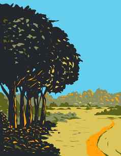 欧石南森林小径森林位于森林国家公园南部英格兰艺术德科水渍险海报艺术