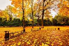 金秋天城市公园树下降叶子多云的一天