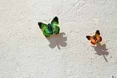 色彩斑斓的装饰蝴蝶白色墙