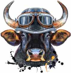 水彩插图黑色的强大的牛骑摩托车的人头盔眼镜