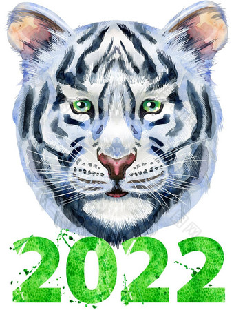 色彩斑斓的白色微笑老虎数量千二十野生动物水彩插图
