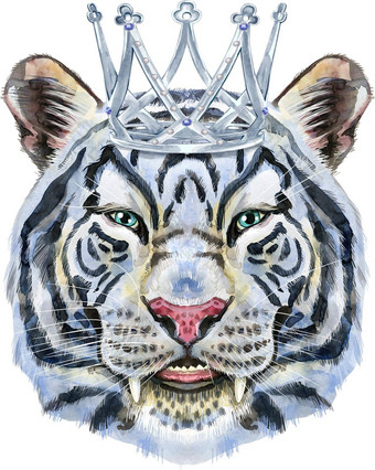 色彩斑斓的白色微笑老虎银皇冠野生动物水彩插图白色背景