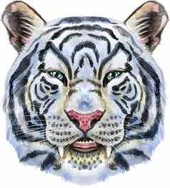色彩斑斓的白色微笑老虎野生动物水彩插图白色背景