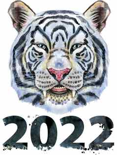 色彩斑斓的白色微笑老虎数量千二十野生动物水彩插图