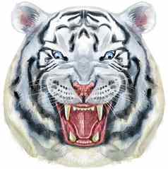 手画老虎水彩画白色老虎头蓝色的眼睛