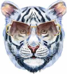 色彩斑斓的白色老虎太阳镜野生动物水彩插图白色背景