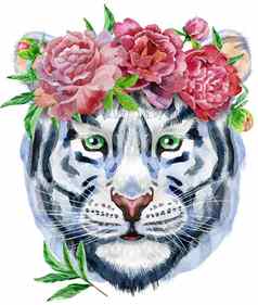 色彩斑斓的白色老虎花环牡丹野生动物水彩插图白色背景