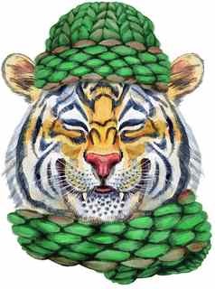 色彩斑斓的橙色微笑老虎老虎针织绿色他野生动物水彩插图白色背景