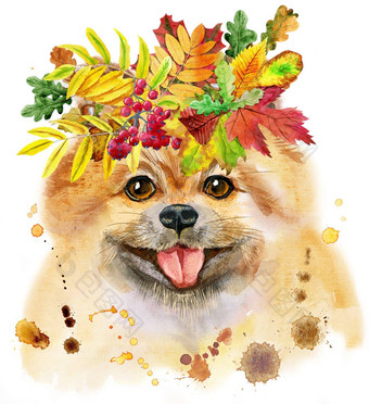 水彩肖像狗波美拉尼亚的斯帕斯花环秋天叶子