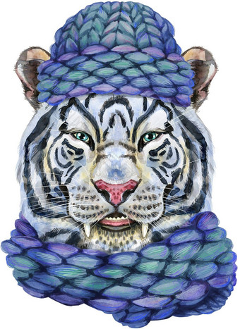 色彩斑斓的白色微笑老虎蓝色的针织他野生动物水彩插图白色背景