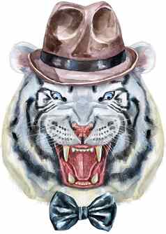手画老虎棕色（的）他蝴蝶结水彩画白色老虎头蓝色的眼睛