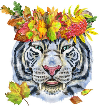 色彩斑斓的白色微笑老虎花环秋天叶子野生动物水彩插图白色背景