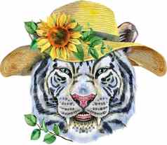 色彩斑斓的白色微笑老虎夏天他向日葵野生动物水彩插图白色背景