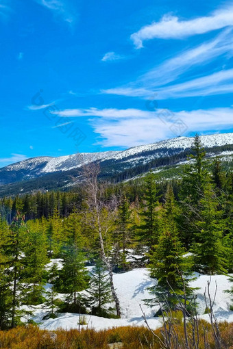 风景如画的视图白雪覆盖的山峰山