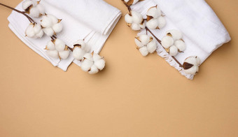 折叠白色棉花特里毛巾嫩枝棉花花光棕色（的）背景前视图