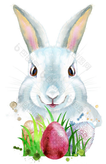 水彩插图白色兔子鸡蛋草